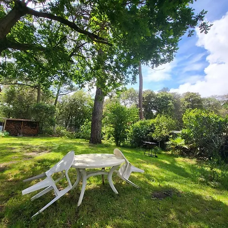 Charmante Maison Balneaire Pour 6, Pres De La Plage, Animaux Admis - Fr-1-364-172 別荘